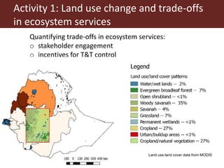 Partners of the Program Against African Trypanosomosis: Research institutions’ roles, activities and synergies with the progressive control pathway for African animal trypanosomosis