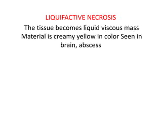 LIQUIFACTIVE NECROSIS
The tissue becomes liquid viscous mass
Material is creamy yellow in color Seen in
brain, abscess
 