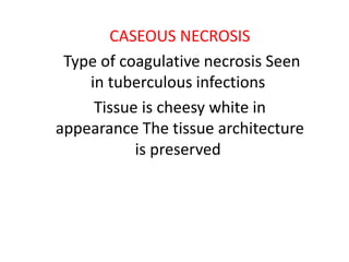 CASEOUS NECROSIS
Type of coagulative necrosis Seen
in tuberculous infections
Tissue is cheesy white in
appearance The tissue architecture
is preserved
 
