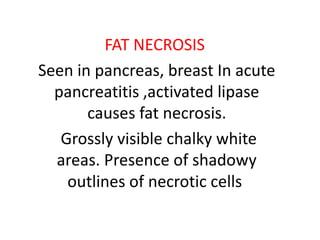 FAT NECROSIS
Seen in pancreas, breast In acute
pancreatitis ,activated lipase
causes fat necrosis.
Grossly visible chalky white
areas. Presence of shadowy
outlines of necrotic cells
 