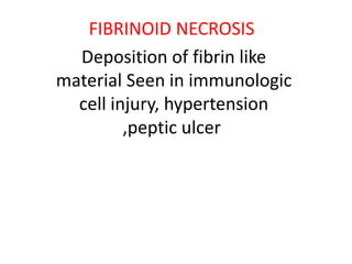 FIBRINOID NECROSIS
Deposition of fibrin like
material Seen in immunologic
cell injury, hypertension
,peptic ulcer
 