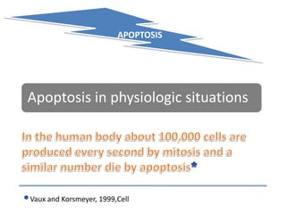 APOPTOSIS
Apoptosis in physiologic situations
Vaux and Korsmeyer, 1999,Cell
 