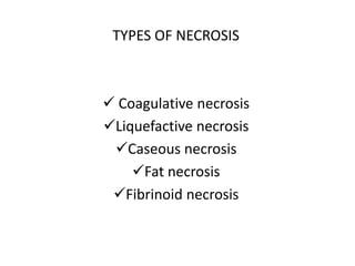 TYPES OF NECROSIS
 Coagulative necrosis
Liquefactive necrosis
Caseous necrosis
Fat necrosis
Fibrinoid necrosis
 