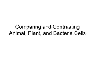 Comparing and Contrasting 
Animal, Plant, and Bacteria Cells 
 