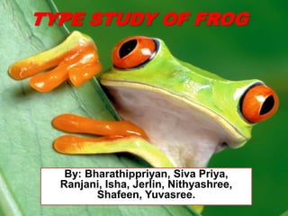 TYPE STUDY OF FROG
By: Bharathippriyan, Siva Priya,
Ranjani, Isha, Jerlin, Nithyashree,
Shafeen, Yuvasree.
 
