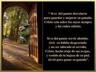 “ Si es del pastor desvelarse
para guardar y mejorar su ganado,
Cristo vela sobre los suyos siempre
         y los rodea solícito.


 Si es del pastor servir abatido,
  vivir en hábito despreciado
  y no ser adorado ni servido,
Cristo, hecho traje de sus ovejas,
y vestido de la bajeza de su piel,
  sirvió para ganar su ganado”.
 