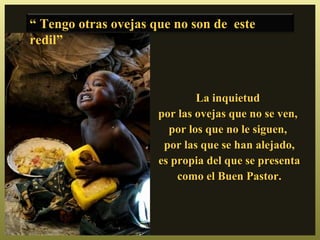 “ Tengo otras ovejas que no son de este
redil”



                              La inquietud
                      por las ovejas que no se ven,
                        por los que no le siguen,
                       por las que se han alejado,
                      es propia del que se presenta
                          como el Buen Pastor.
 