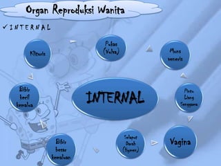 Organ Reproduksi Wanita
INTERNAL
Pukas
(Vulva)

Klitoris

Bibir
kecil
kemalua

Mons
veneris

INTERNAL
Bibir
besar
kemaluan

Selaput
Darah
(Hymen)

Pintu
Liang
Senggama

Vagina

 