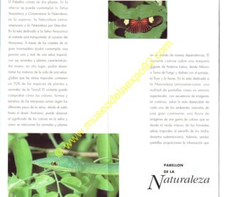 ©
w
w
w
.m
useodelaexpo92.com
 