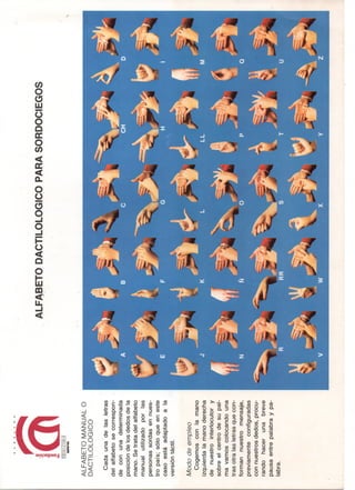 ©
w
w
w
.m
useodelaexpo92.com
 