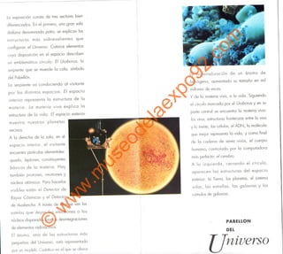 ©
w
w
w
.m
useodelaexpo92.com
 