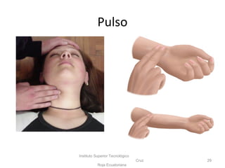 Pulso
Instituto Superior Tecnológico
Cruz
Roja Ecuatoriana
29
 