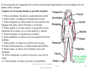 Instituto Superior Tecnológico
Cruz
Roja Ecuatoriana
30
Lugares en el cuerpo donde se percibe el pulso:
1. Pulso carotideo. Se ubica a cada lado del cuello
2. Pulso axilar, se palpa en el fondo de la axila.
3. Pulso braquial, se ubica sobre la cara anterior del
pliegue del codo, entre el bíceps y el tríceps.
4. Pulso radial, es el más usual, se encuentra en las
muñecas de la mano, en su cara anterior y lateral.
5. Pulso femoral, se localiza en el muslo.
6. pulso poplíteo, se ubica en la cara posterior de las
rodillas.
7. Pulso pedio, se ubica en el dorso de los pies.
8. Pulso tibial posterior, se ubica detrás del tobillo.
9. Pulso ulnar, se ubica en la muñeca cerca del
meñique.
10. Pulso temporal, se ubica en la sien, cerca de la
oreja.
11. Pulso facial, se ubica cerca de la mandíbula
Es la sensación de expansión de la arteria al presionar ligeramente con los pulpejos de los
dedos sobre el hueso
 
