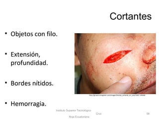 Cortantes
• Objetos con filo.
• Extensión,
profundidad.
• Bordes nítidos.
• Hemorragia.
Instituto Superior Tecnológico
Cruz
Roja Ecuatoriana
58
http://grupos.emagister.com/imagen/herida_cortante_en_cara/1061-140468
 