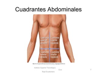 Cuadrantes Abdominales
Instituto Superior Tecnológico
Cruz
Roja Ecuatoriana
7
http:/nlm.nih.gov/medlineplus/spanish/ency/esp_imagepages/19578.htm
 