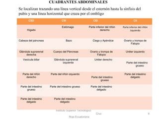 Instituto Superior Tecnológico
Cruz
Roja Ecuatoriana
8
CSD CSI CID CII
Hígado
Estómago Parte inferior del riñón
derecho
Parte inferior del riñón
izquierdo
Cabeza del páncreas Bazo Ciego y Apéndice Ovario y trompa de
Falopio
Glándula suprarenal
derecha
Cuerpo del Páncreas Ovario y trompa de
Falopio
Uréter izquierdo
Vesícula biliar Glándula suprarenal
izquierda
Uréter derecho
Parte del intestino
grueso
Parte del riñón
derecho
Parte del riñón izquierdo
Parte del intestino
grueso
Parte del intestino
delgado
Parte del intestino
grueso
Parte del intestino grueso Parte del intestino
delgado
Parte del intestino
delgado
Parte del intestino
delgado
CUADRANTES ABDOMINALES
Se localizan trazando una línea vertical desde el esternón hasta la sínfisis del
pubis y una línea horizontal que cruza por el ombligo
 