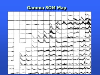 Gamma SOM Map
 