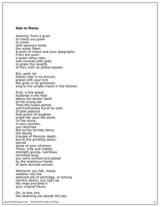 www.PoemHunter.com - The World's Poetry Archive 37
Ode to Maize
America, from a grain
of maize you grew
to crown
with spacious lands
the ocean foam.
A grain of maize was your geography.
From the grain
a green lance rose,
was covered with gold,
to grace the heights
of Peru with its yellow tassels.
But, poet, let
history rest in its shroud;
praise with your lyre
the grain in its granaries:
sing to the simple maize in the kitchen.
First, a fine beard
fluttered in the field
above the tender teeth
of the young ear.
Then the husks parted
and fruitfulness burst its veils
of pale papyrus
that grains of laughter
might fall upon the earth.
To the stone,
in your journey,
you returned.
Not to the terrible stone,
the bloody
triangle of Mexican death,
but to the grinding stone,
sacred
stone of your kitchens.
There, milk and matter,
strength-giving, nutritious
cornmeal pulp,
you were worked and patted
by the wondrous hands
of dark-skinned women.
Wherever you fall, maize,
whether into the
splendid pot of partridge, or among
country beans, you light up
the meal and lend it
your virginal flavor.
Oh, to bite into
the steaming ear beside the sea
 