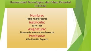 Pablo André Fajardo
2010-1366
Sistema de Información Gerencial
Alba Lissette Peguero
 