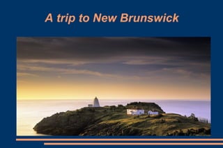 A trip to New Brunswick 