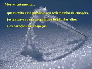 Morre lentamente... quem evita uma paixão e seu redemoinho de emoções, justamente as que resgatam o brilho dos olhos e os corações aos tropeços. 