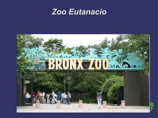 Zoo Eutanacio 