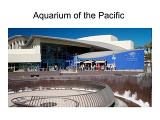 Aquarium of the Pacific
 