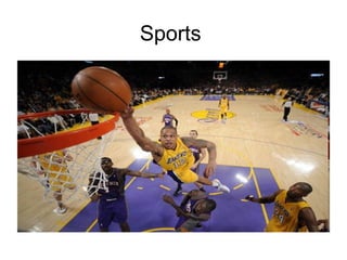 Sports
 