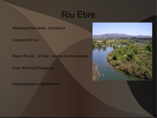 Desembocadura:Mar del Norte 