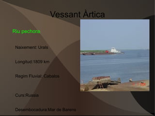 Regim Fluvial:irregular 