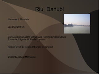 Riu Oder Naixement: R.Checa 