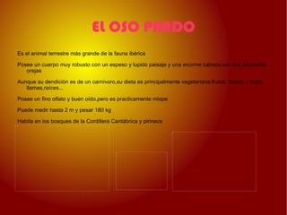 Es un ´´Superdepredador'' y se caracteriza por sus largos y puntiagudos colmillos su amplia caja toracica y sus voluminosos músculos. 
