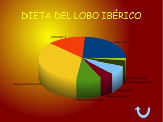 Se alimenta de presas  que caza: ovejas,mufones,conejos,zorros...  