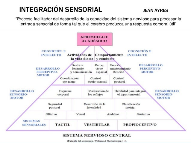 DESINTEGRACION SENSORIAL EPUB DOWNLOAD DESINTEGRACION SENSORIAL EPUB DOWNLOAD