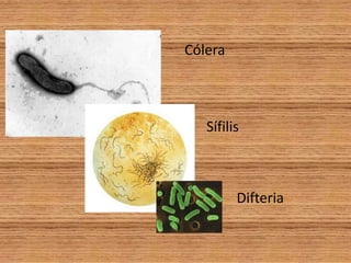 CóleraSífilisDifteria