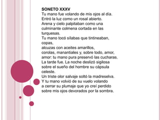 SONETO XXXV
Tu mano fue volando de mis ojos al día.
Entró la luz como un rosal abierto.
Arena y cielo palpitaban como una
culminante colmena cortada en las
turquesas.
Tu mano tocó sílabas que tintineaban,
copas,
alcuzas con aceites amarillos,
corolas, manantiales y, sobre todo, amor,
amor: tu mano pura preservó las cucharas.
La tarde fue. La noche deslizó sigilosa
sobre el sueño del hombre su cápsula
celeste.
Un triste olor salvaje soltó la madreselva.
Y tu mano volvió de su vuelo volando
a cerrar su plumaje que yo creí perdido
sobre mis ojos devorados por la sombra.
 