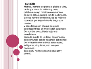 SONETO I
Matilde, nombre de planta o piedra o vino,
de lo que nace de la tierra y dura,
palabra en cuyo crecimiento amanece,
en cuyo estío estalla la luz de los limones.
En ese nombre corren navíos de madera
rodeados por enjambres de fuego azul
marino,
y esas letras son el agua de un río
que desemboca en mi corazón calcinado.
Oh nombre descubierto bajo una
enredadera
como la puerta de un túnel desconocido
que comunica con la fragancia del mundo!
Oh invádeme con tu boca abrasadora,
indágame, si quieres, con tus ojos
nocturnos,
pero en tu nombre déjame navegar y
dormir.
 