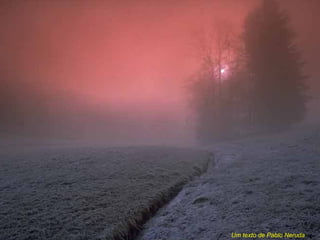 Um texto de Pablo Neruda
 