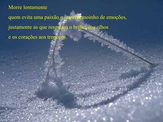 Morre lentamente
quem evita uma paixão e seu redemoinho de emoções,
justamente as que resgatam o brilho dos olhos
e os corações aos tropeços.
 