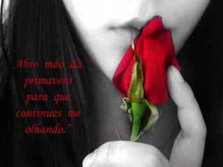 Abro mão da
primavera
para que
continues me
olhando.”
 