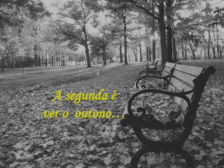 A segunda é
ver o outono…
 