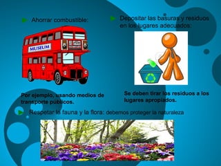 Ahorrar combustible:
Por ejemplo, usando medios de
transporte públicos.
Depositar las basuras y residuos
en los lugares adecuados:
Se deben tirar los residuos a los
lugares apropiados.
Respetar la fauna y la flora: debemos proteger la naturaleza