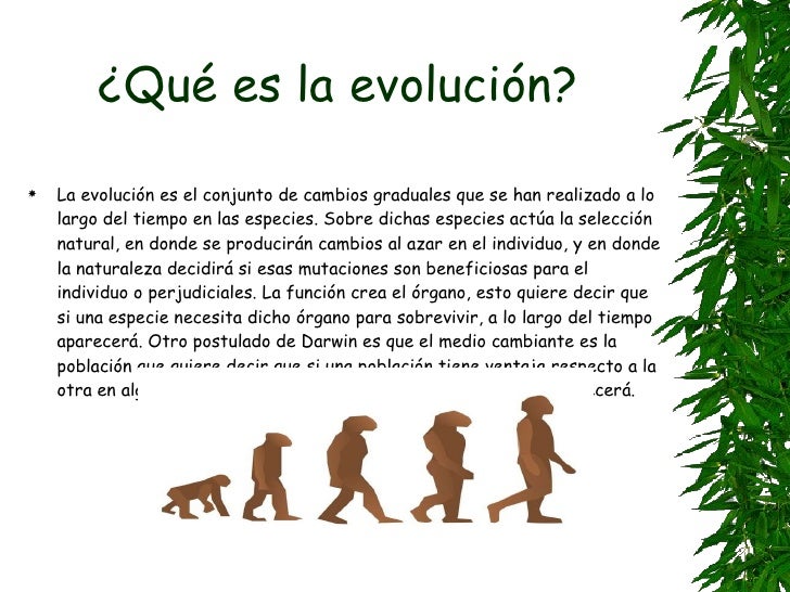 Resumen de la Teoría de la Evolución: Todo lo que necesitas saber ...