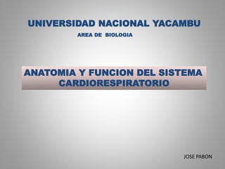 ANATOMIA Y FUNCION DEL SISTEMA
CARDIORESPIRATORIO
UNIVERSIDAD NACIONAL YACAMBU
JOSE PABON
AREA DE BIOLOGIA
 