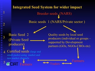 PABRA Seed systems:  Delivering the right product with right processes to the right users 