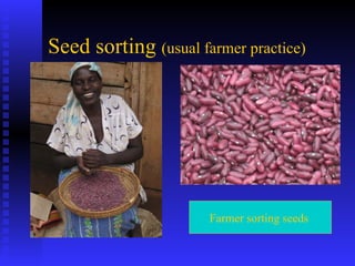 PABRA Seed systems:  Delivering the right product with right processes to the right users 