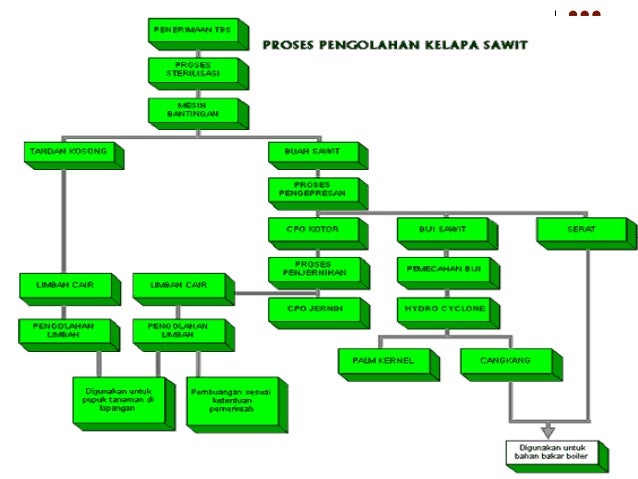 pabrik minyak kelapa sawit pabrik minyak kelapa sawit