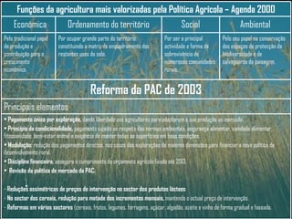 Pelo seu papel na conservação dos espaços de protecção da biodiversidade e de salvaguarda da paisagem. Por ser a principal actividade e forma de sobrevivência de numerosas comunidades rurais. Por ocupar grande parte do território, constituindo a matriz de enquadramento dos restantes usos do solo. Pelo tradicional papel de produção e contribuição para o crescimento económico. Ambiental Social Ordenamento do território Económica Funções da agricultura mais valorizadas pela Política Agrícola – Agenda 2000 Pagamento único por exploração,  dando liberdade aos agricultores para adaptarem a sua produção ao mercado. Principio da condicionalidade,  pagamento sujeito ao respeito das normas ambientais, segurança alimentar, sanidade alimentar, fitossanidade, bem-estar animal e exigência de manter todas as superfícies em boas condições. Modulação:  redução dos pagamentos directos, nos casos das explorações de maiores dimensões para financiar a nova política de desenvolvimento rural. Disciplina financeira,  assegura o cumprimento do orçamento agrícola fixado até 2013. Revisão da política de mercado da PAC. Reduções assimétricas de preços de intervenção no sector dos produtos lácteos No sector dos cereais, redução para metade dos incrementos mensais,  mantendo o actual preço de intervenção. Reformas em vários sectores  (cereais, frutos, legumes, forragens, açúcar, algodão, azeite e vinho de forma gradual e faseada. Principais elementos  Reforma da PAC de 2003 