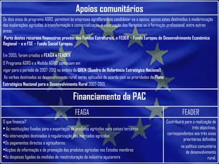 Os dois eixos do programa AGRO, permitem às empresas agroflorestais candidatar-se a apoios, apoios estes destinados à modernização das explorações agrícolas, à transformação e comercialização, à valorização das florestas ou à formação profissional, entre outras áreas. Parte destes recursos financeiros provém dos Fundos Estruturais, o FEDER ­ Fundo Europeu de Desenvolvimento Económico Regional ­ e o FSE ­ Fundo Social Europeu. Em 2005, foram criados o  FEAGA e FEADER   O Programa AGRO e a Medida AGRIS continuam em vigor para o período de 2007-2013 no âmbito do  QREN (Quadro de Referência Estratégico Nacional) As verbas destinadas ao desenvolvimento rural, serão aplicadas de acordo com as prioridades do  Plano Estratégico Nacional para o Desenvolvimento Rural  2007-2013. Apoios comunitários FEADER Contribuirá para a realização de três objectivos, correspondentes aos três eixos prioritários definidos na política comunitária de desenvolvimento rural. O que financia? As restituições fixadas para a exportação de produtos agrícolas para países terceiros As intervenções destinadas à regularização dos mercados agrícolas Os pagamentos directos a agricultores;  Acções de informação e de promoção dos produtos agrícolas nos Estados membros As despesas ligadas às medidas de reestruturação da indústria açucareira FEAGA Financiamento da PAC 