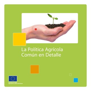 La Política Agrícola
                             Común en Detalle




Comisión Europea
European Commission
Agricultura y Rural Development
Agriculture and
                Desarrollo Rural
 